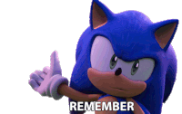 Remember Sonic The Hedgehog Sticker - Remember Sonic The Hedgehog Sonic Prime Stickers