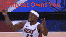 Tinycat Owns You Tiny Owns You GIF - Tinycat Owns You Tinycat Tiny Owns You GIFs