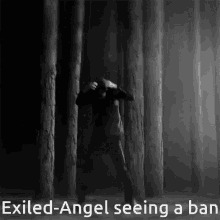 Ban Exiled Angel Seeing A Ban GIF - Ban Exiled Angel Seeing A Ban Wings GIFs