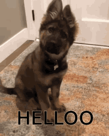 GIF