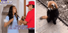 a man in a red hat is holding a woman 's hand next to a picture of a cat
