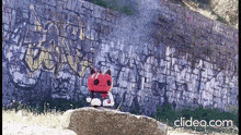 a stuffed animal is sitting on a rock in front of a wall with graffiti on it