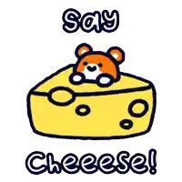 a cartoon drawing of a bear in a piece of cheese with the words say cheese below it