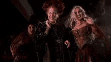 Witches GIF