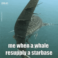 a whale shark is swimming in the ocean with the caption me when a whale resupply a starbase