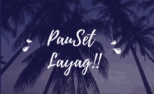 Pauset GIF - Pauset GIFs