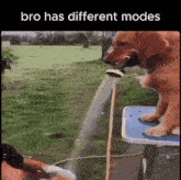 a dog drinking water from a hose with the words bro has different modes on the bottom