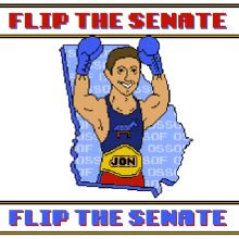 flip the senate senate boxing georgia ossoff