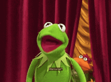 Muppets Muppet Show GIF - Muppets Muppet Show Kermit GIFs