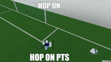 a soccer field with the words hop on hop on pts on the bottom