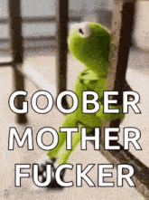 kermit the frog is sitting next to a railing with the words `` goober mother fucker '' written on it .