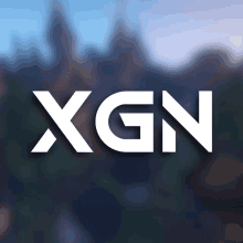 Xg Network GIF