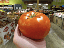 Big Tomato GIF - Big Tomato Vegetable GIFs