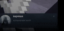 a screenshot of a video game with the name varusha written in russian