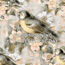 Good Morning Birds GIF - Good Morning Birds Flowers GIFs
