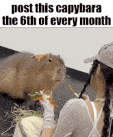 a woman is feeding a capybara a carrot with the caption post this capybara the 6th of every month ..