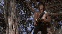 Rambo Rafo GIF - Rambo Rafo Read And Find Out GIFs