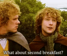 Peregrin Took Second Breakfast GIF - Peregrin Took Second Breakfast Lotr GIFs