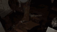 a person is standing on a wooden floor in a dark room with papers on the floor .