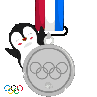 Silver Medal Sticker