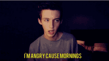 Hate Mornings GIF - Hate Mornings Angry GIFs