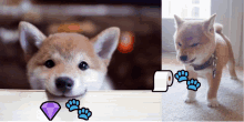 Doge Dogecoin GIF - Doge Dogecoin Doge To The Moon GIFs