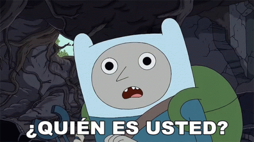 quien-es-usted-finn.gif
