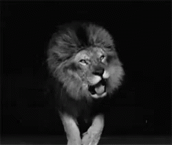 Leon Rugiendo GIF - Roar Lion King Of The Jungle - Discover & Share GIFs