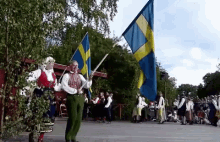 Zweden GIF - Zweden Vlag Zweeds GIFs