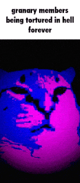 a picture of a cat with the words granary members being tortured in hell forever on it
