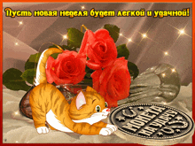 пожелание котенок GIF - пожелание котенок цветы -- розы GIFs