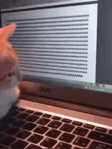 Funny Cat GIF - Funny Cat Reaction GIFs