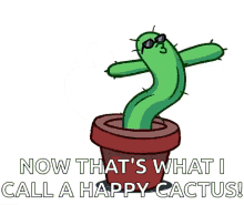 Happy Cactus Dancing Cactus GIF