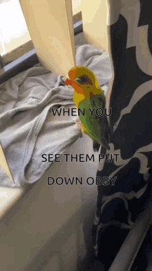 Obby Bedwars GIF - Obby Bedwars Bird GIFs