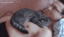 Cuddle GIF - Cuddle Cat Pet GIFs