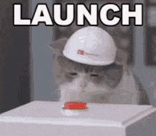 Missile Launch GIF - Missile Launch Cat GIFs