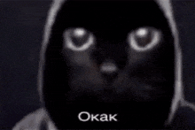 a close up of a person 's face with the word okak written on the bottom