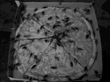 Amityville Horror GIF - Amityville Horror Pizza GIFs