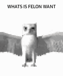 Felon Meme GIF