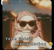 a cat wearing a hijab and sunglasses holding a cup of coffee