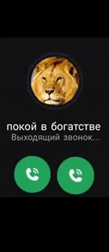 a picture of a lion in a circle with two green circles around it .