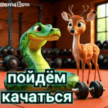 a picture of a snake and a deer in a gym with russian writing