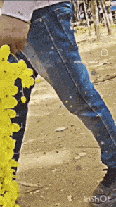 a person holding a bunch of yellow flowers in their hand