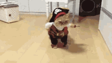 Cat Pirate GIF - Cat Pirate Bootleg GIFs