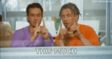 Thismuch Thisbig GIF - Thismuch Thisbig GIFs