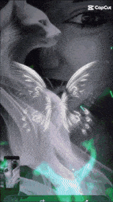 a picture of a woman with a cat and a butterfly with capcut on the bottom right