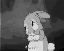 Sorry Bunny GIF - Sorry Bunny Sad GIFs