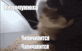a close up of a person pouring something into a pile of sand with russian writing on it