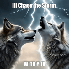 two wolves howling at each other with lightning behind them and the words " iii chase the storm with you "