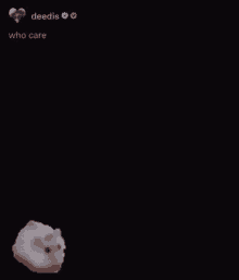 Who Care GIF - Who Care Hamster GIFs